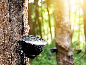 Toes Home 女式普拉提袜带防滑抓手,瑜伽船员袜适用于巴雷医院粘性拖鞋袜 4 双装