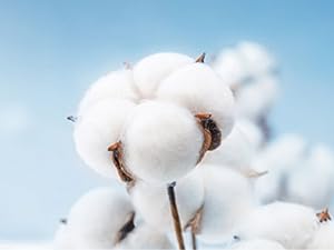 CoolMate 女式普拉提袜,瑜伽袜,船员防滑女士,适合锻炼,桶,普拉提礼品